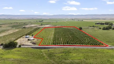 Irrigated Orchard Acreage Opportunity