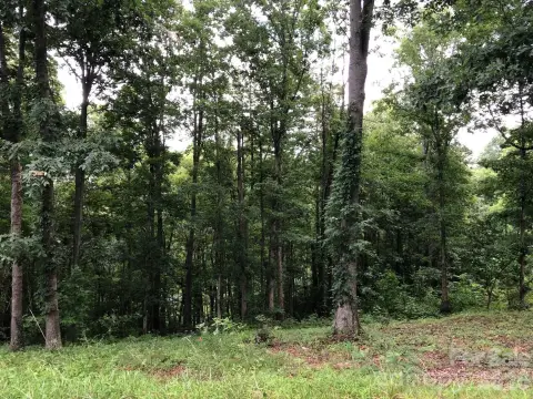 Wooded Corner Homesite in Agrihood