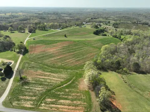 Dairy Farm with Crop Land