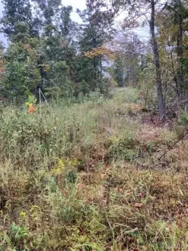 Ozark Hideaway Land Available