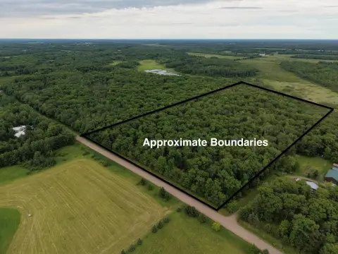 Wooded Hunting Land