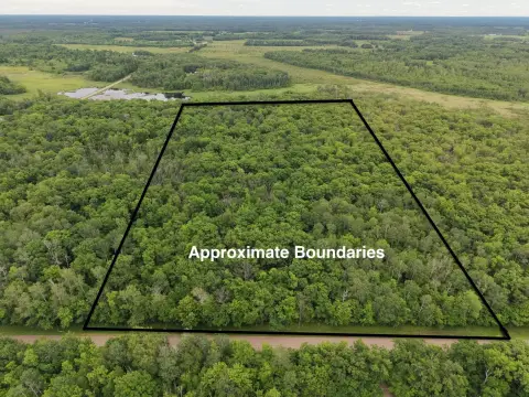 Wooded Hunting Land