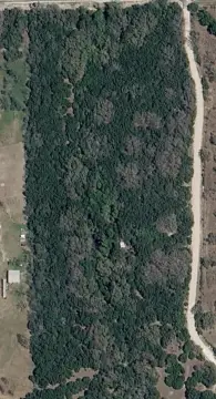Wooded Hunting Land with Creek