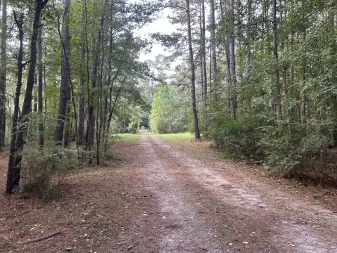 Moncks Corner Vacant Land