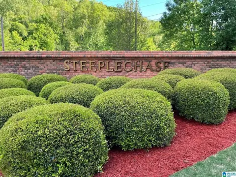 Residential Land in Pinson, Alabama