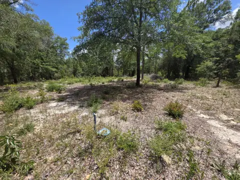 Cleared Homesite Ready to Build