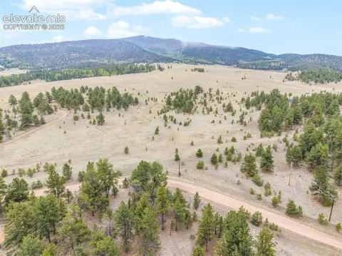Expansive Land Parcel Near Pike Forest