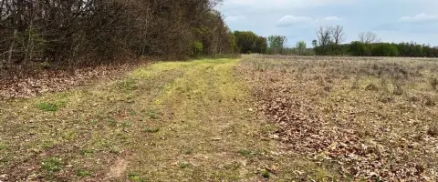 Tillable Agricultural Land