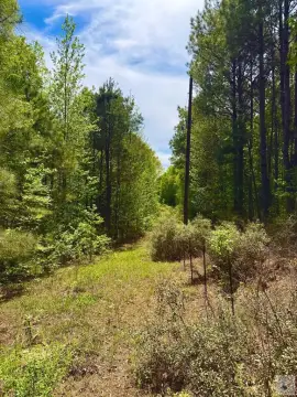 East Texas Land Opportunity