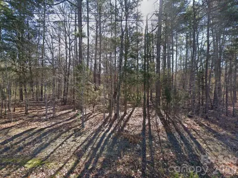 Homesite in Mount Pleasant, NC