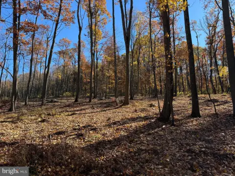 Hillsboro, VA Mountain Retreat Land