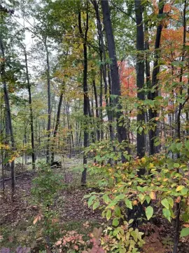 Land Near Steege Hill Preserve
