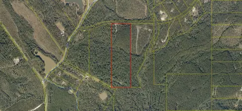 Wooded Recreation Land