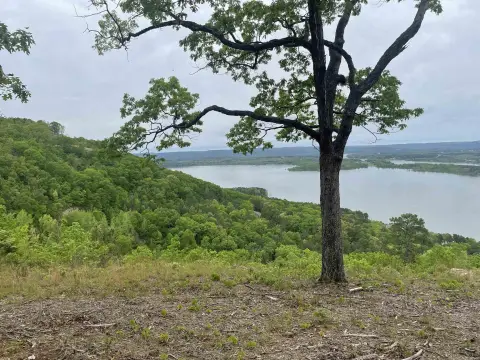 Quitman Acreage with Lake View