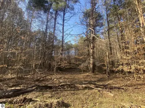 Wooded Land Near Caberfae Peaks