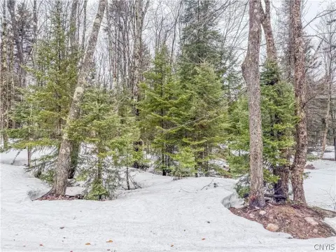 Secluded Land Near Tug Hill