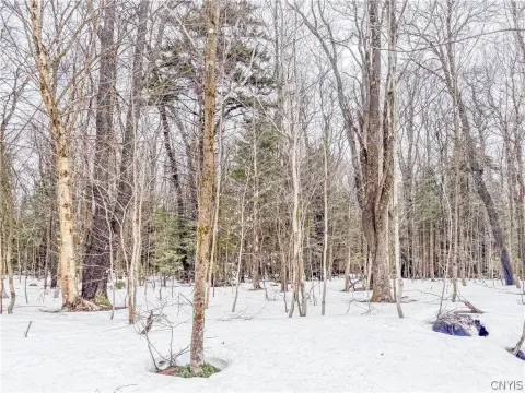 Secluded Tug Hill Recreation Land