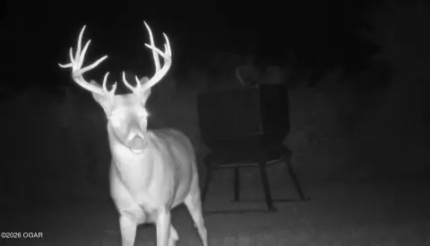 Hunting Land with Strip Pits