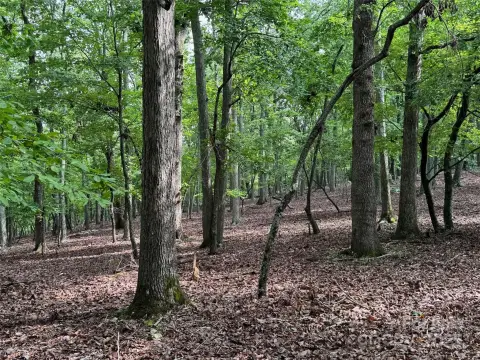 Mountain-Top Lot in Denton, NC