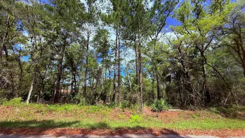 Ocklawaha Homesite with Natural Setting