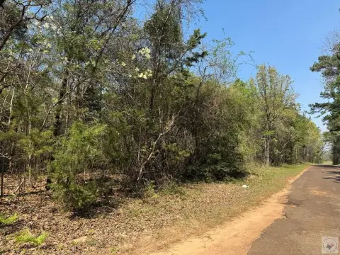 McLeod, TX Timber Land