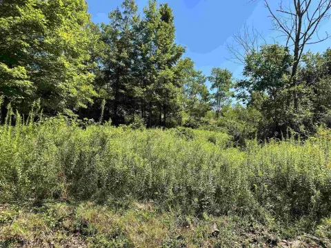 Residential Land in Dryfork, WV