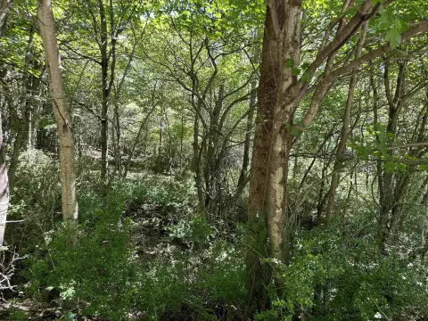 Residential Land Near Canaan Valley