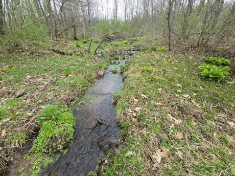 Recreational Hunting Land with Creek