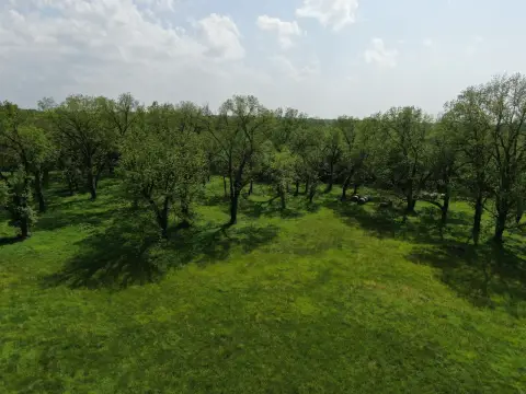 40 Acres with Shop, Creek