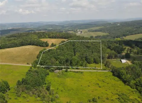 Wooded Acreage in Otsego County