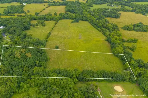 Cleared Lake-Adjacent Land Parcel