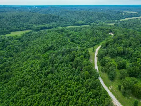 Surveyed Wooded Hunting Tract Lots