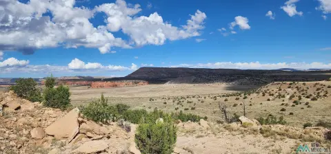 New Mexico Hunting Land Parcel