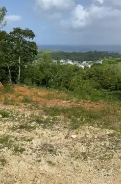 Land with Ocean View Potential