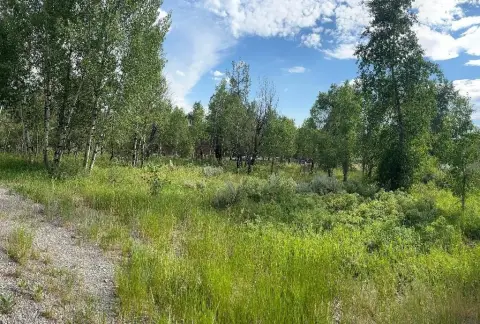 Residential Land in Star Valley