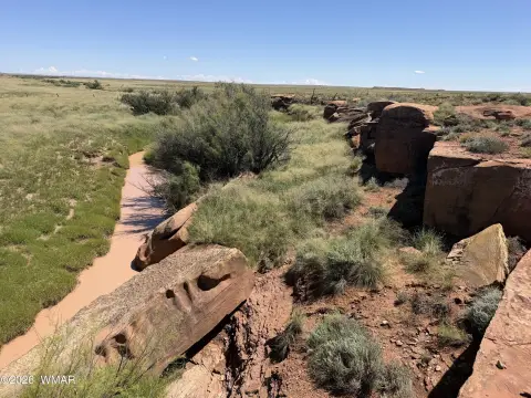 Ranch Land with Seasonal Water