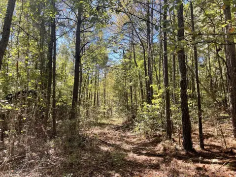 Versatile Land Near Downtown Fayette