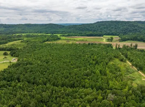 7.8 Acres of Vacant Land