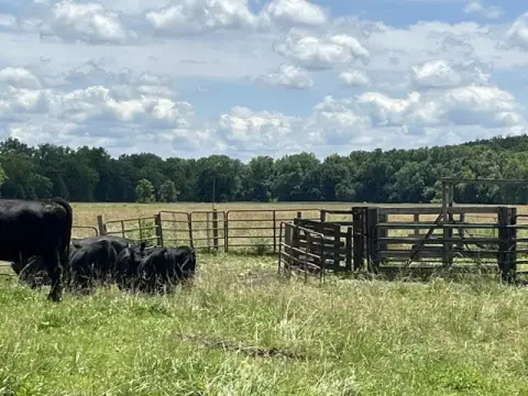 Bottom Ground Farmland and Hunting Land