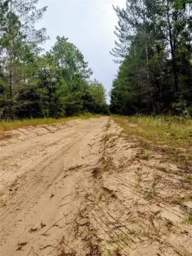 Vacant Land in College Park