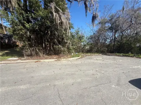 Residential Lot in Savannah, GA