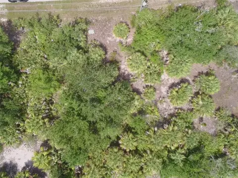 Residential Building Lot in Port Charlotte