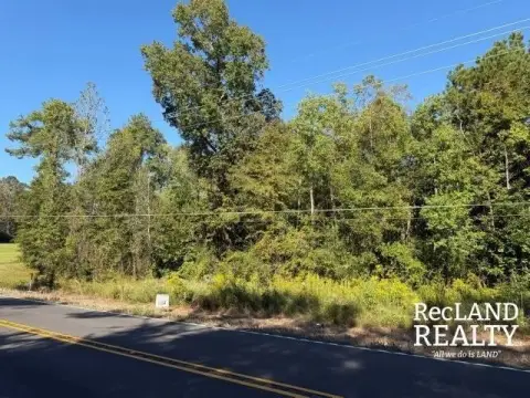 Pine Timber Agricultural Land