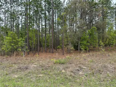 Residential Lot in Dunnellon, FL