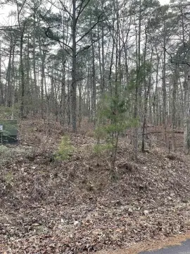 Hot Springs Village Subdivision Lot