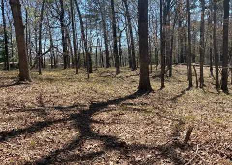 Toledo Bend Lake Unrestricted Land