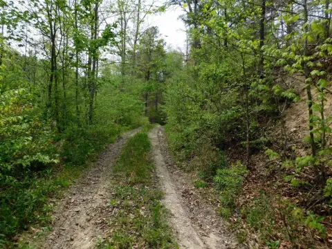 Salyersville Hunting and Recreation Land