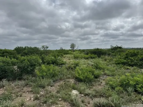 Uvalde TX 50-Acre Land
