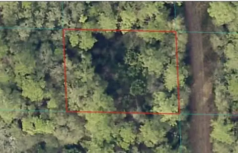 Citra, Florida Land For Sale
