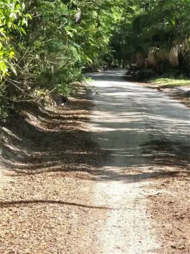 DUNNELLON, FL Treed Lot